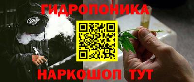 шишки Волгодонск