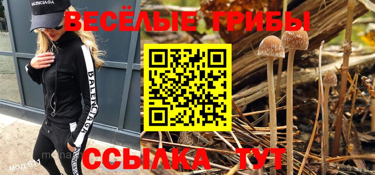 Галлюциногенные грибы Magic Shrooms  Вход с VPN  Копейск 