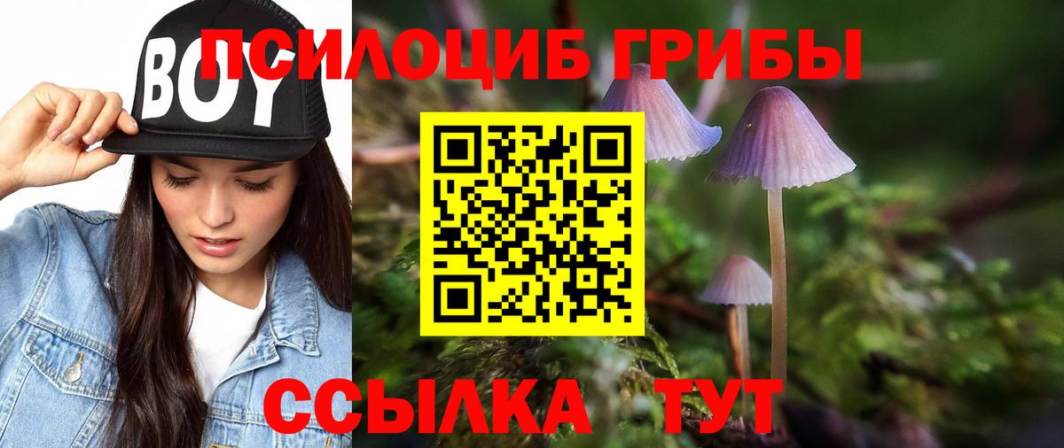 Галлюциногенные грибы мухоморы Копейск